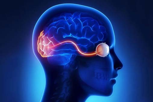 Neurology